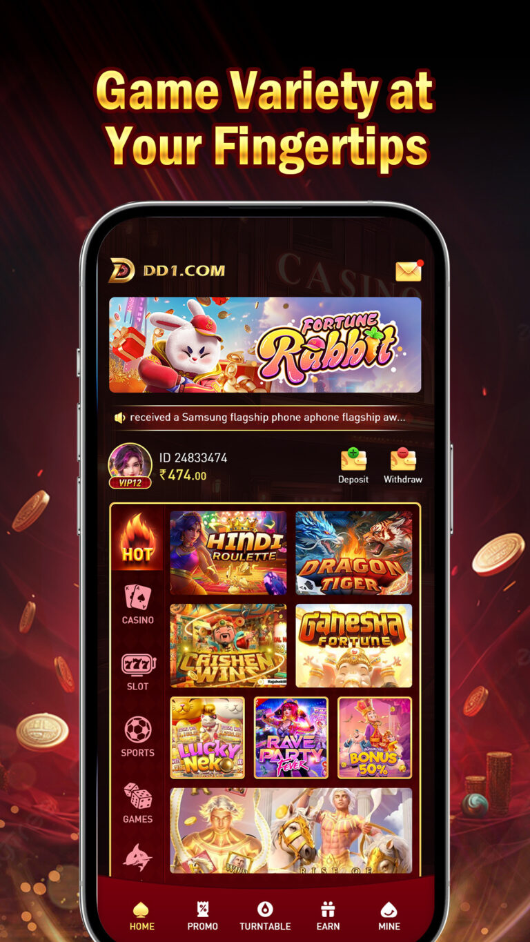 dd1game